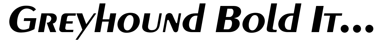 Greyhound Bold Italic